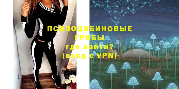 spice Магас